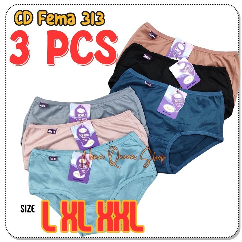 3 PCS CELANA DALAM WANITA FEMA 318/313 Grosir