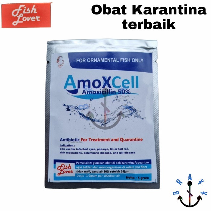 Amoxcell Obat Karantina Antibiotik Amoxcell 5gr amoxicillin 50% ikan hias ikan predator