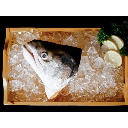 

Kepala Salmon Fresh Frozen -Ferry Fish
