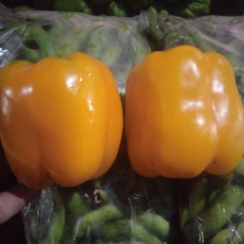 

Paprika Kuning