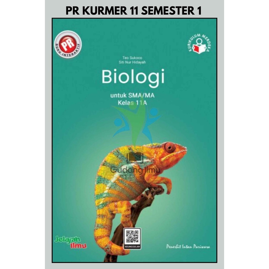 Buku Pr/Lks Kurmer Biologi SMA/MA Kelas 11/XI kurikulum Merdeka Semester 1 Intan pariwara Tahun 2024