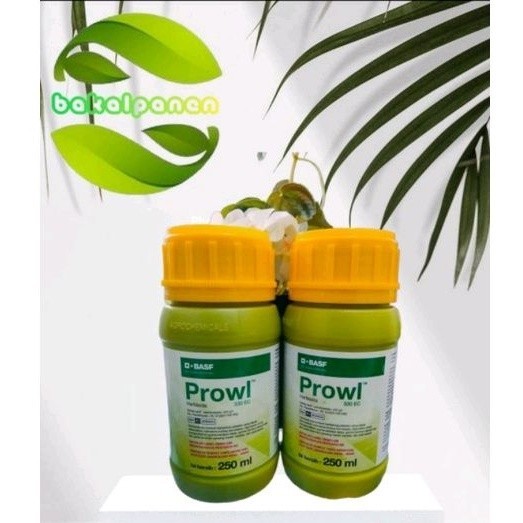 Herbisida obat gulma / rumput pratumbuh Prowl 250ml