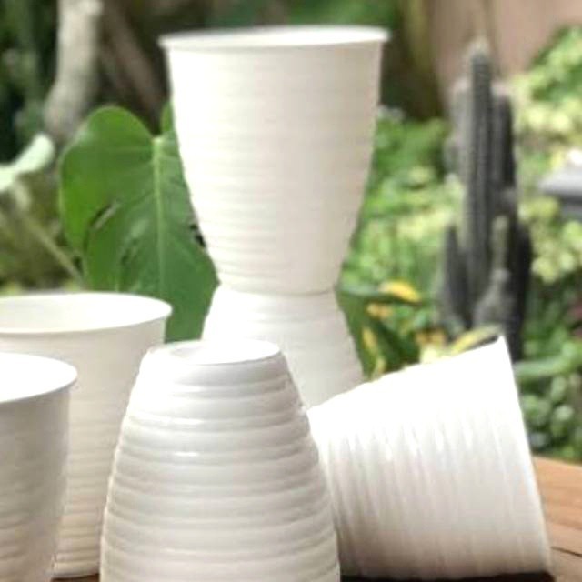 pot kumbang SA tirus 10cm warna putih