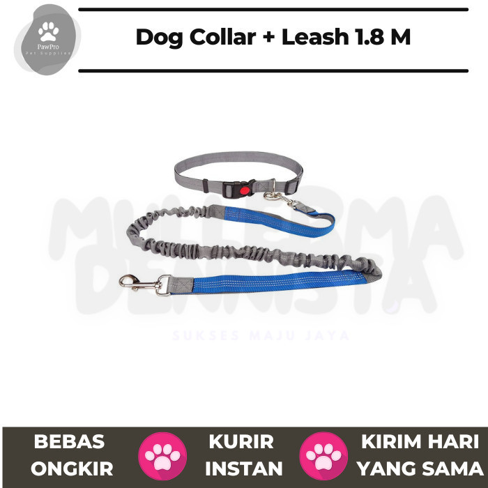 Tali dan Kalung Anjing | Dog Collar and Leash | Tali Anjing Polyester - GrayBLue