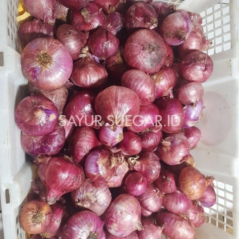 

Bawang Merah India 500gr