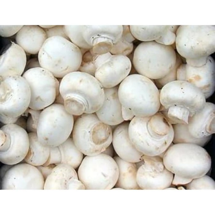 

Mushroom Champignon Jamur Kancing 500gr