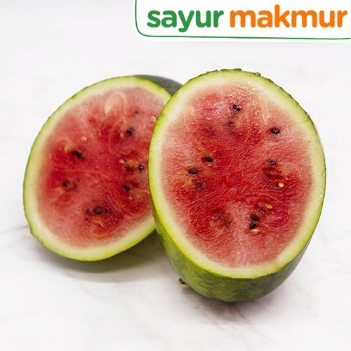Semangka Merah Baby Konvensional 1 pcs Sayurmakmur