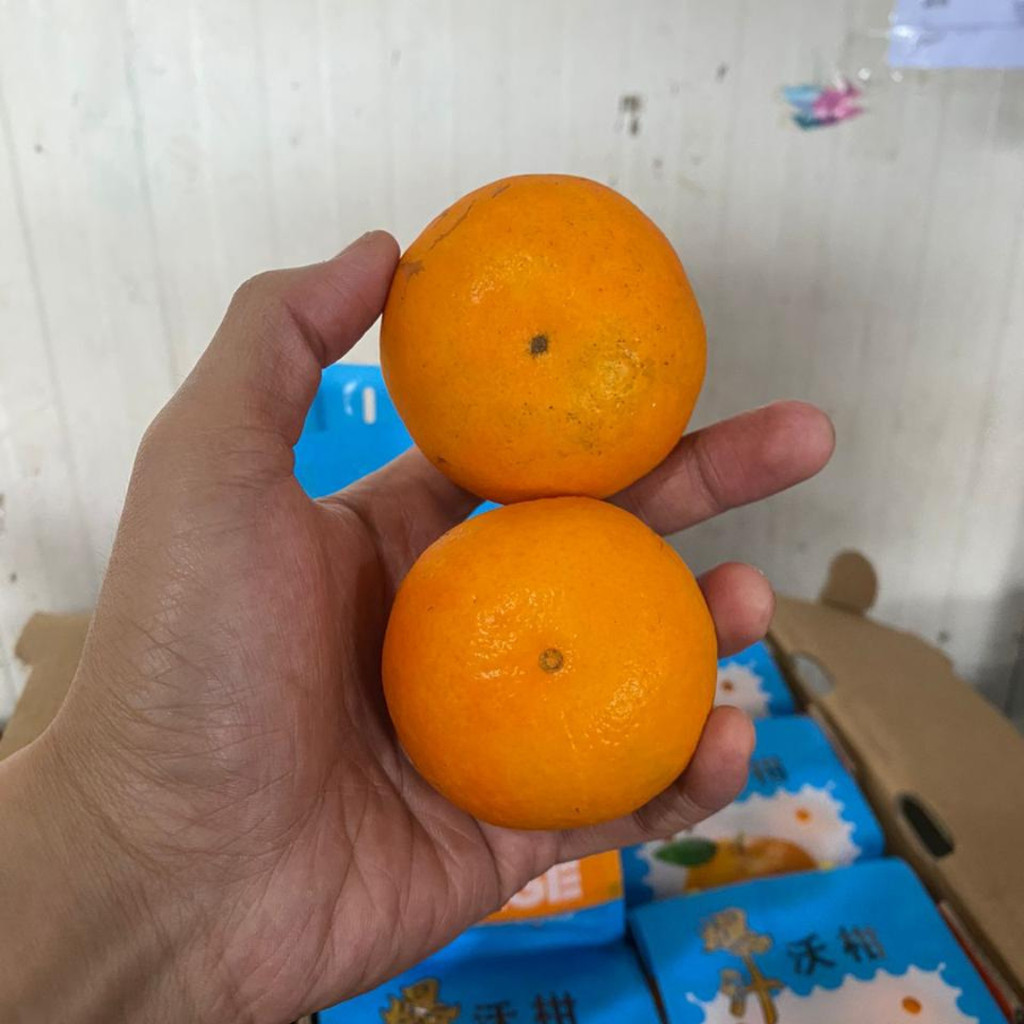 

Buah Jeruk Wokam Tangerine Pack Import 7 kg