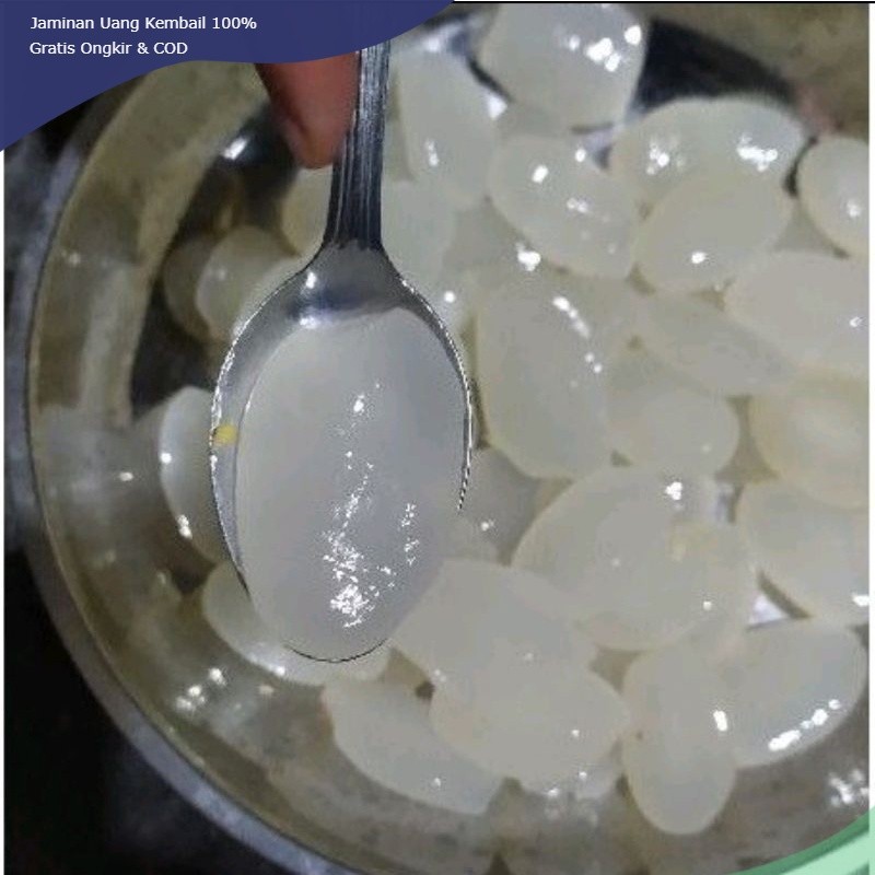 

kolang kaling muda segar 1kg tanpa pengawet