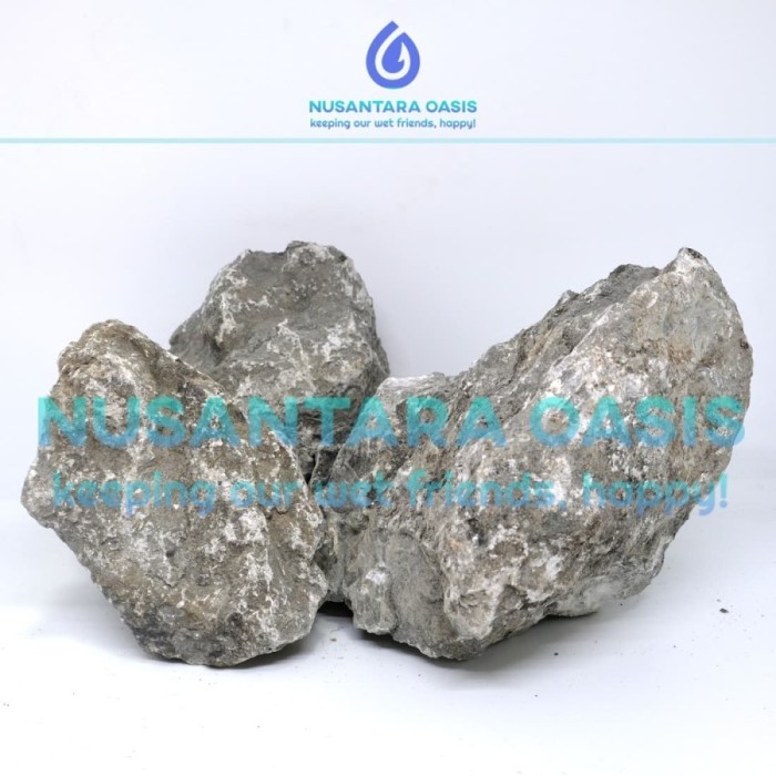 BATU ERANGGA IWAGUMI STYLE, BATU ERANGGA AQUASCAPE , AQUARIUM SEIRYU AQUASCAPE