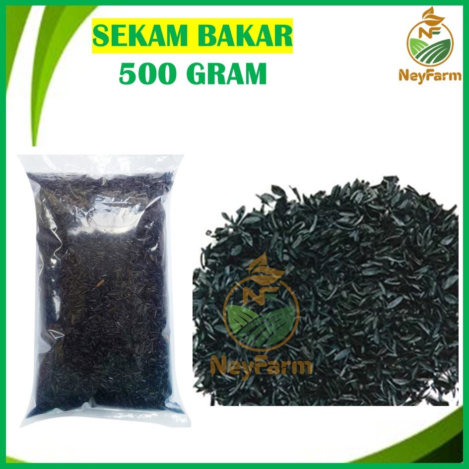 Media Sekam Bakar Sekam Arang Sekam Bakar 500 gram