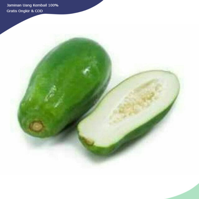 

Buah pepaya muda papaya sayur obat herbal 500 gr