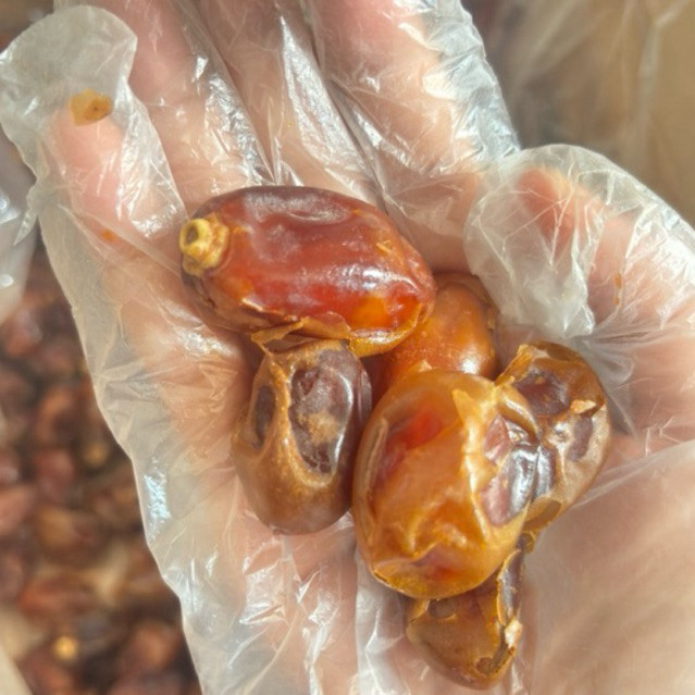 

WP - Kurma Khalas Sa’ad Kurma Murah Enak 250g