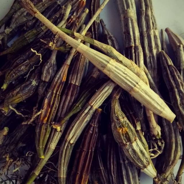 

Batang anggrek mepati kering 1kg