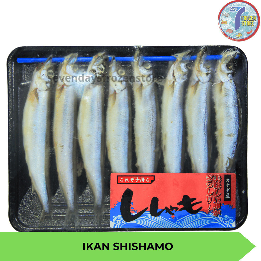 

Ikan Shishamo | Capelin Fish Premium Beku Frozen