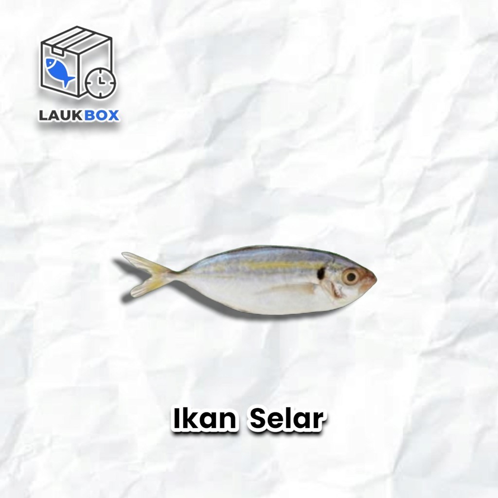 

Ikan Selar