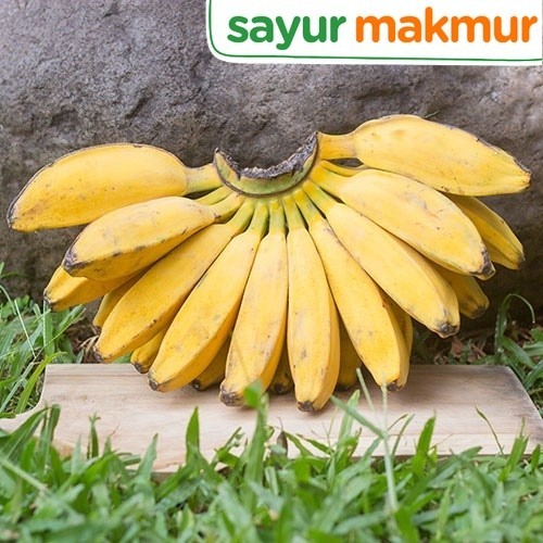 

Pisang Kepok Konvensional 500 gram Sayurmakmur