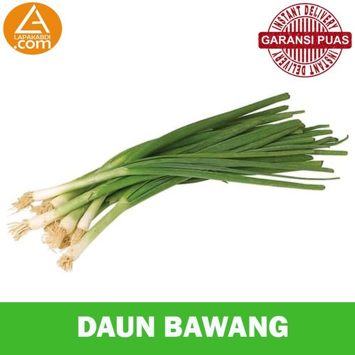 

Daun Bawang 250gr Sayur Segar Garansi Termurah