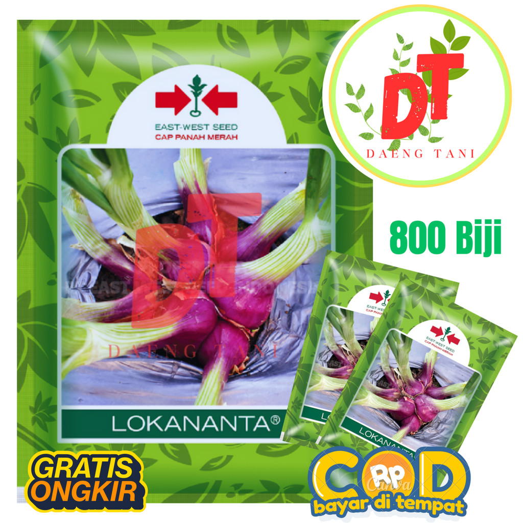 Bibit Benih Bawang Merah Biji TSS LOKANANTA 800 butir Cap Panah Merah