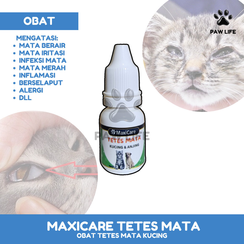 PL Maxicare TETES MATA 10ML Obat Tetes Sakit Mata Kucing Belekan Berair Bengkak Berselaput
