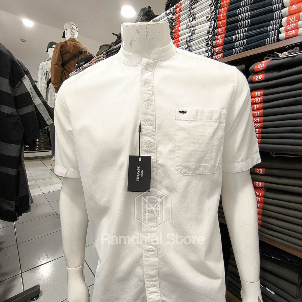 MGEE Koko Pria  ALFERO CKRR 085 0224