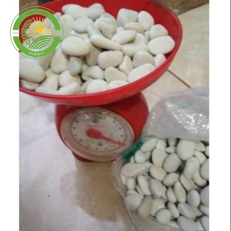 BATU KORAL PUTIH/BATU UNTUK DEROASI TAMAN