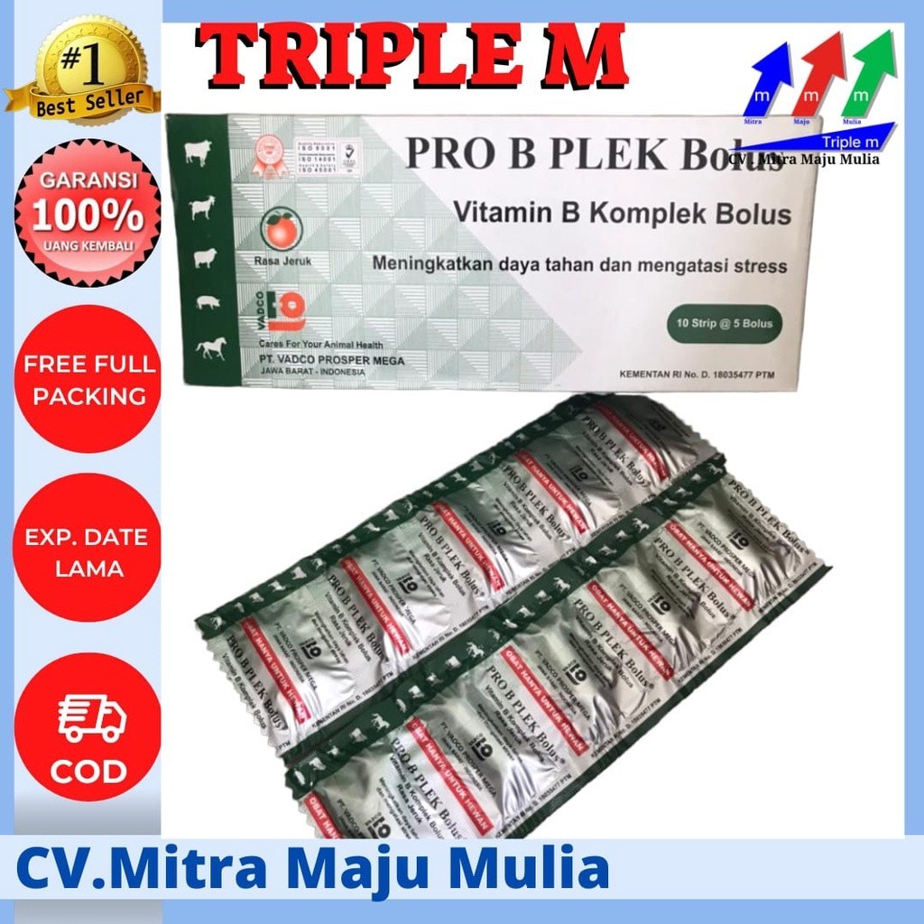 PRO B PLEK 1 Bolus / VITAMIN B KOMPLEK