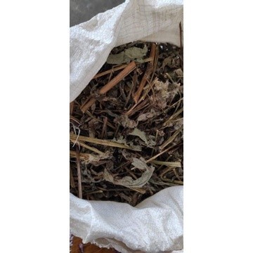 

BUBUK DAUN INSULIN KERING 1 KG HIJAU Organik Free Stiker PIRT Random