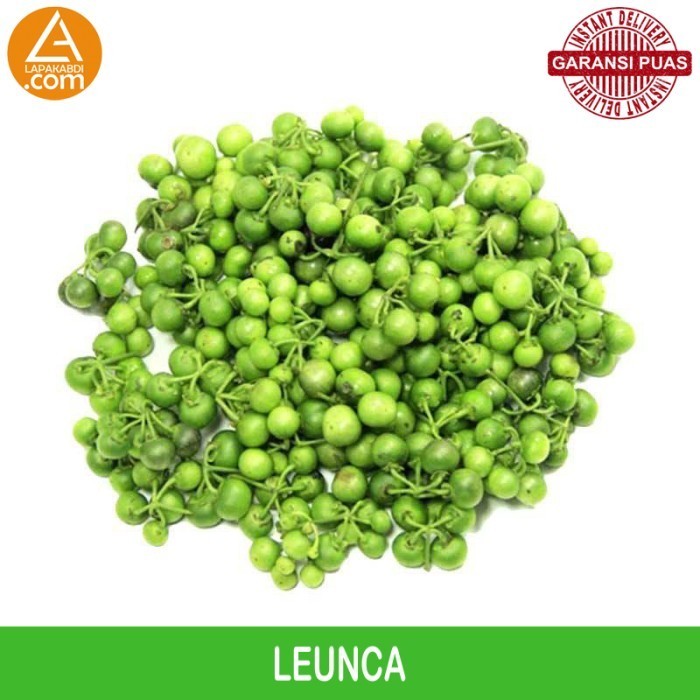 

Leunca 500gr Sayur Segar Garansi Termurah