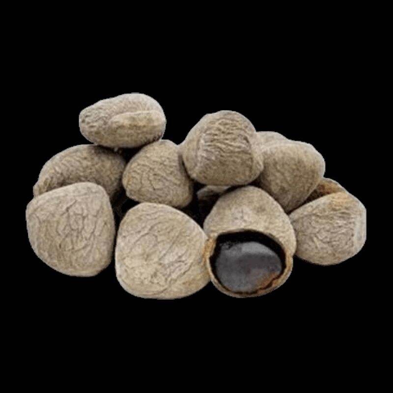 

5 KG KLUWEK BUMBU RAWON