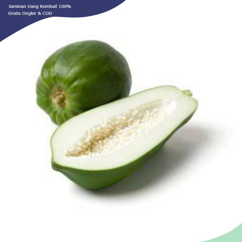

Pepaya Muda Utuh 1kg