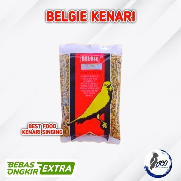 BELGIE KENARI MAKANAN BURUNG KENARI BELGIE KENARI BELGI KENARI