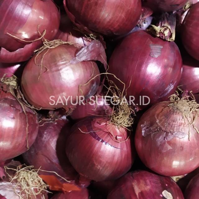 

Bombay merah new zealand/250 gram