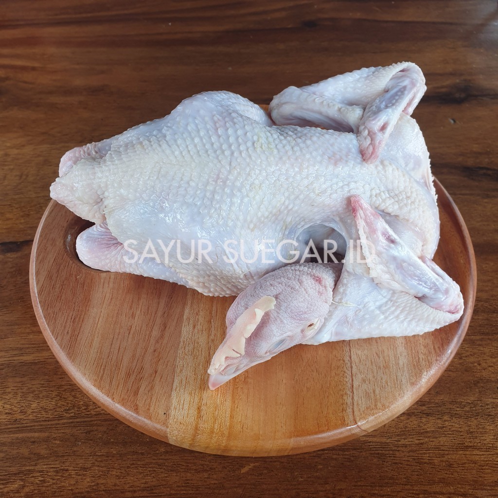 

ayam pejantan 1 ekor (900gr-1.2kg)