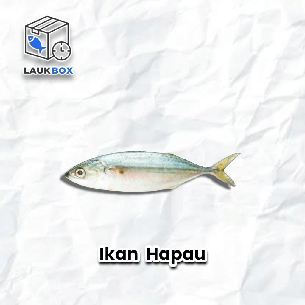 

Ikan Lambak 500Gram