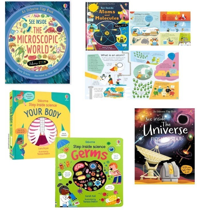 Buku Board book see inside, step inside, buku bacaan pengetahuan impor