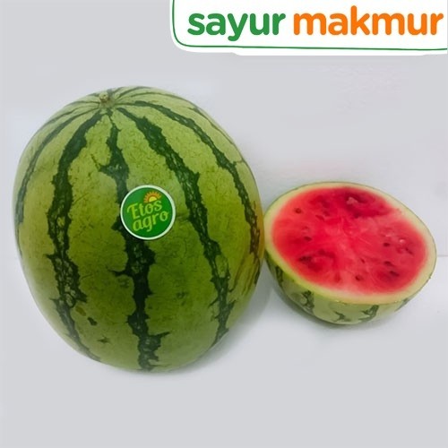 

Semangka Merah Konvensional 1 pcs Sayurmakmur