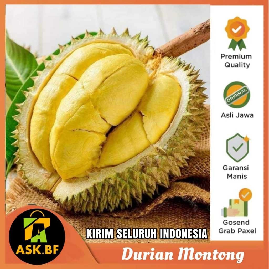 

DURIAN MONTONG SUPERAN MANIS DAGING TEBAL BIJI KECIL