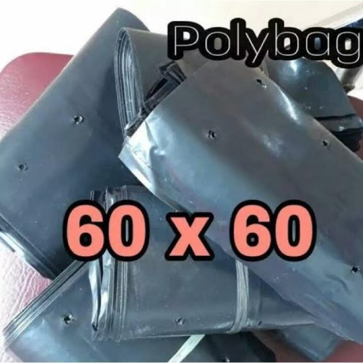 polybag untuk tanaman ukuran 60x60cm berat 1kg/polibag ukuran 60x60cm 1kg polybag garden menyediakan