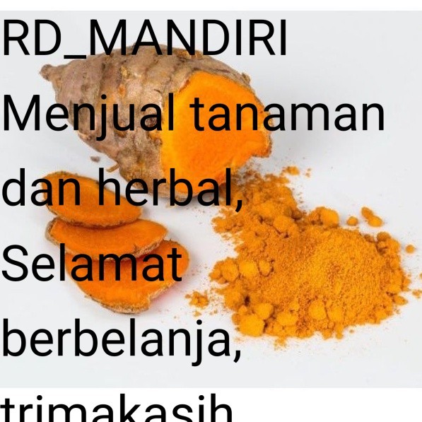 

RD Readyy TERMURAH temulawak basah 100gram temu lawak segar organik
