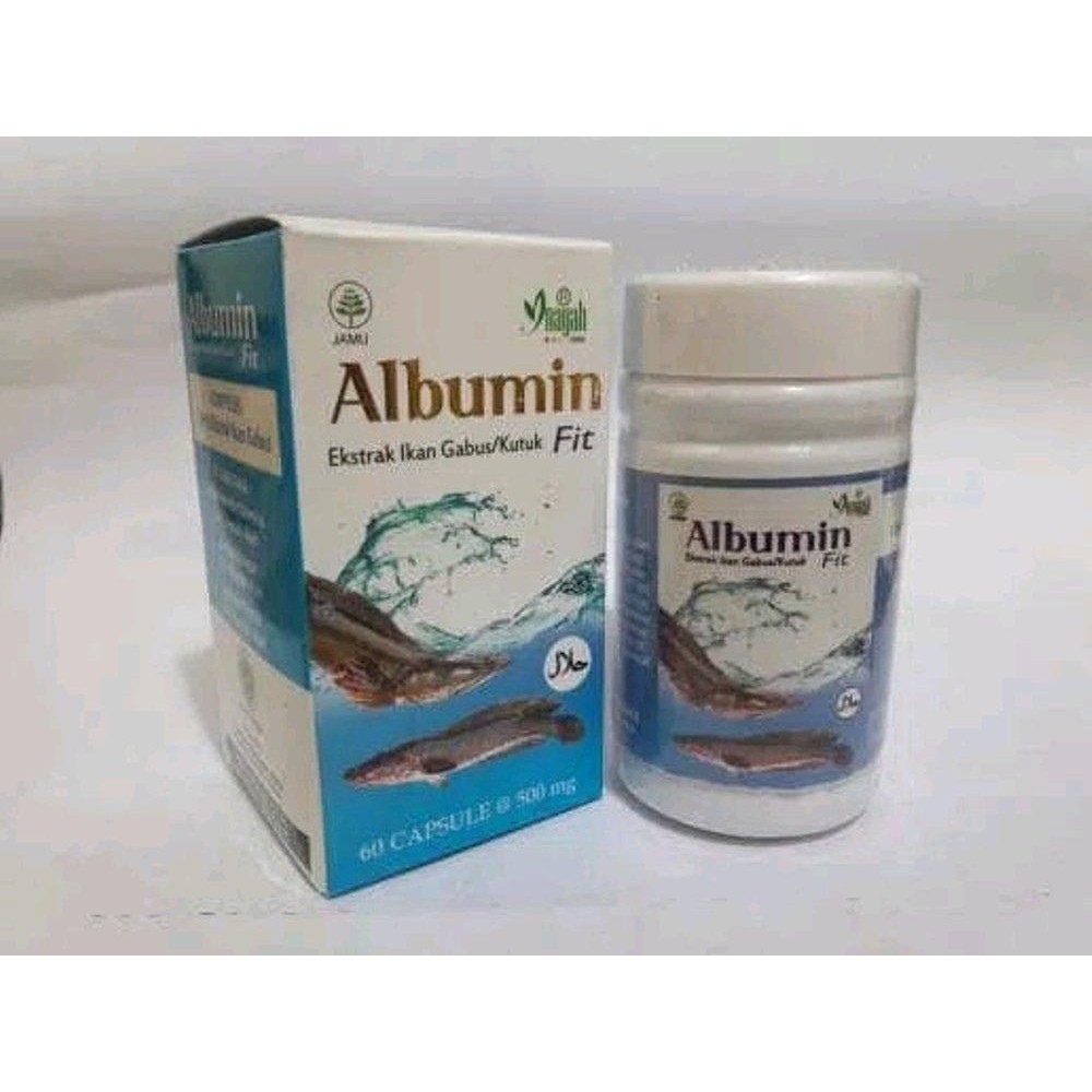 Albumin Fit 60 kapsul - Kapsul Ekstrak Ikan Gabus / Kutuk- 60 Kapsul obat luka dalam pasca oprasi ha