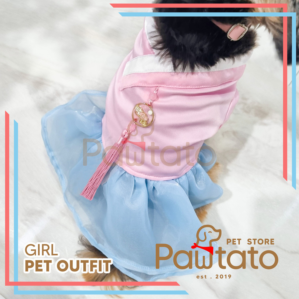 Baju Anjing CNY Hanbok Girl Imlek Korea Dog Outfit Cewek Betina Kostum Pawtato Pet Store