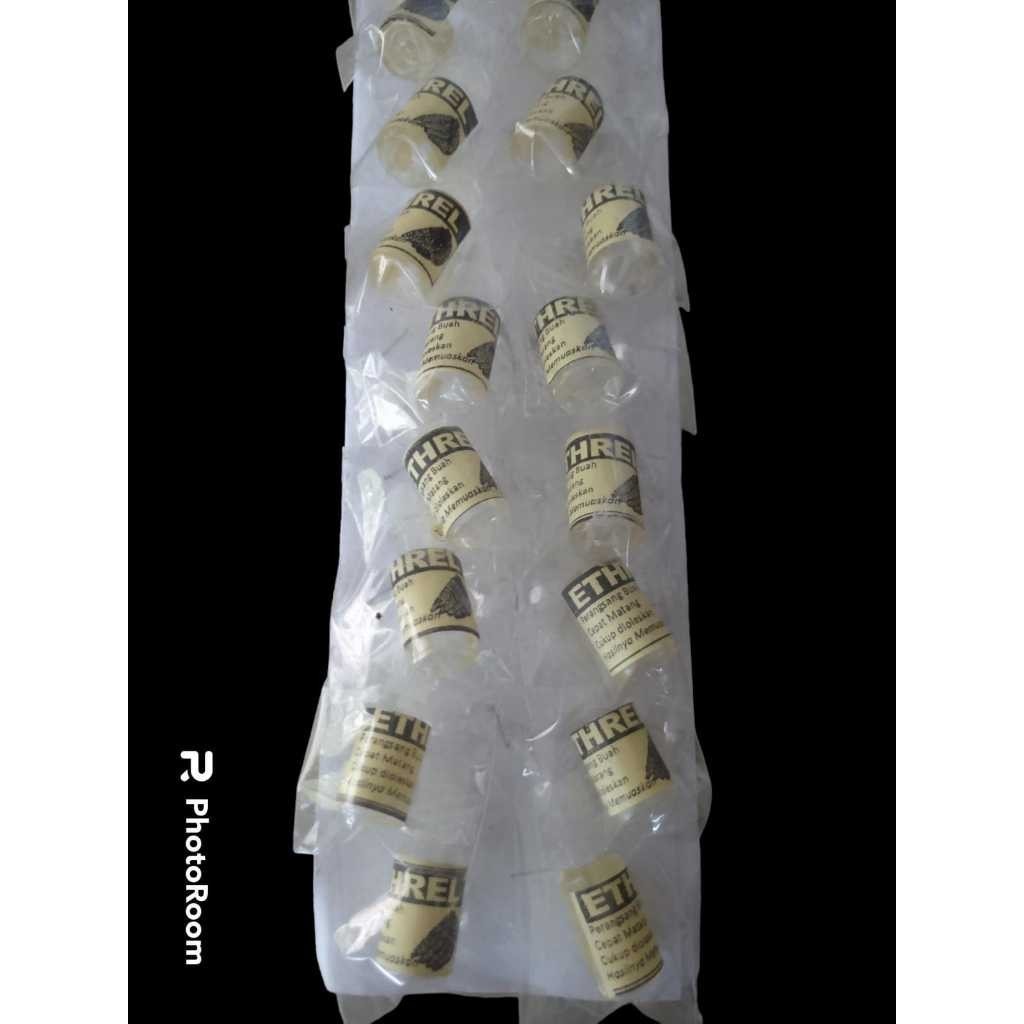 PROMO 1 PCS ETREL PEMATANG BUAH