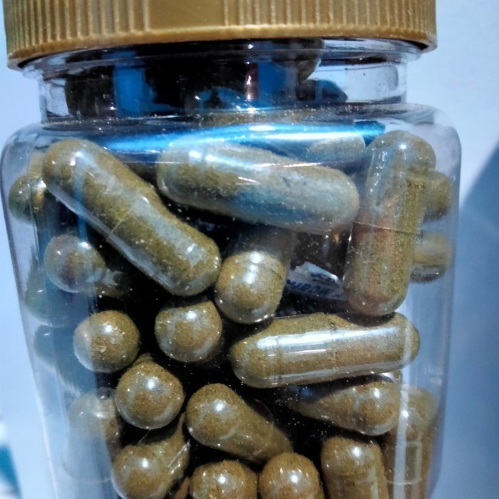 

Kapsul Bubuk Cicak Sangrai isi 100kapsul