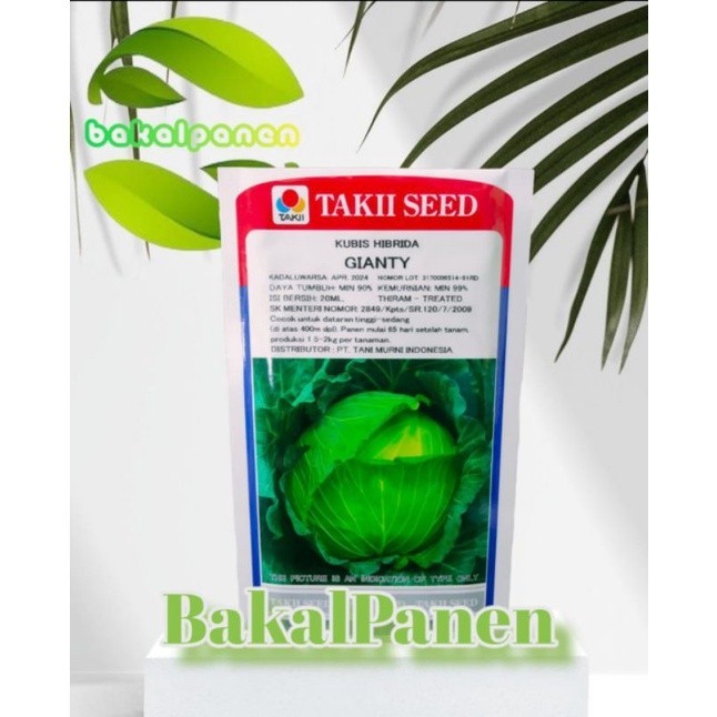 Benih bibit kubis kol Takii Seed GIANTY 20ml