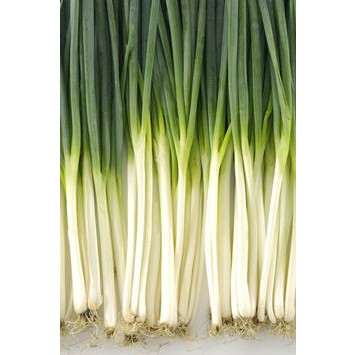 

Daun Bawang 100gr