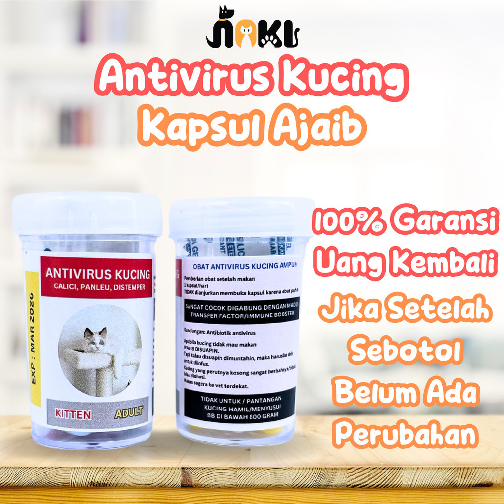 KAPSUL AJAIB - OBAT ANTIVIRUS PANLEU, CALICI, DISTEMPER, FIP OBAT VIRUS KUCING CALICI PANLEUKOPENIA 