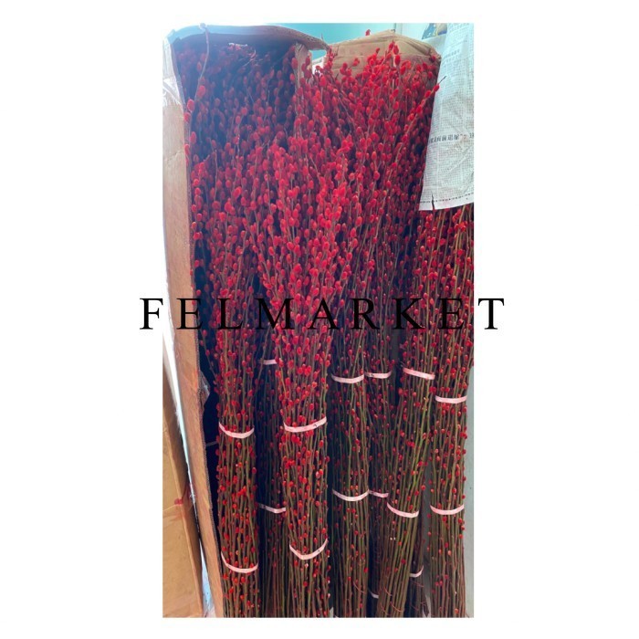 Pussy Willow Merah Imlek / Pussy Wilow Imlek Hiasan / Ikat