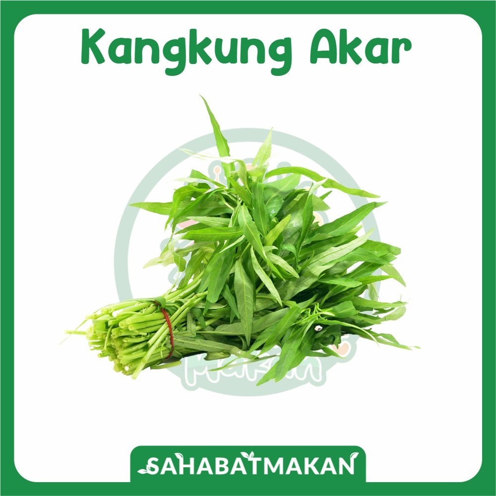 

Kangkung — Daily Fresh Official Store
