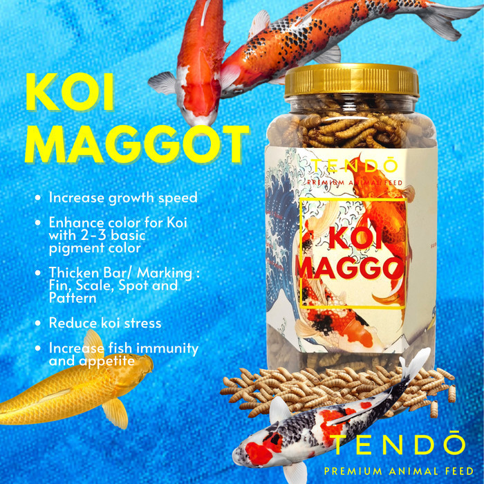 [Best] Maggot BSF Maggot Kering Pakan Makanan Ikan Koi Predator Tendo - Koi